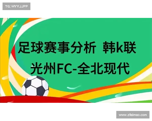 足球区赛事2024全球热点追踪深度分析与精彩回顾